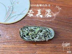 哪种适合冲泡白茶 白茶和什么泡水喝比较好