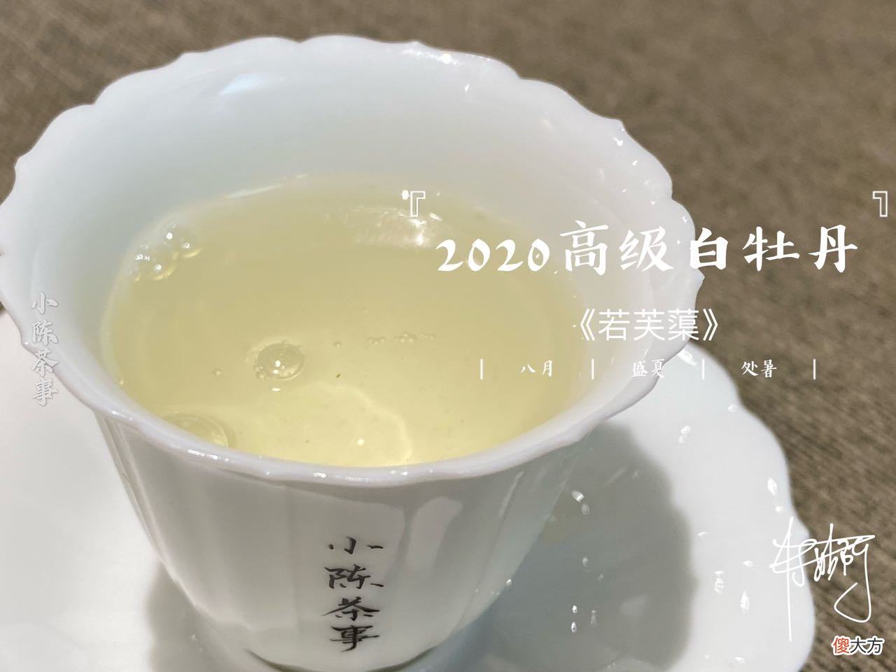 哪种适合冲泡白茶 白茶和什么泡水喝比较好