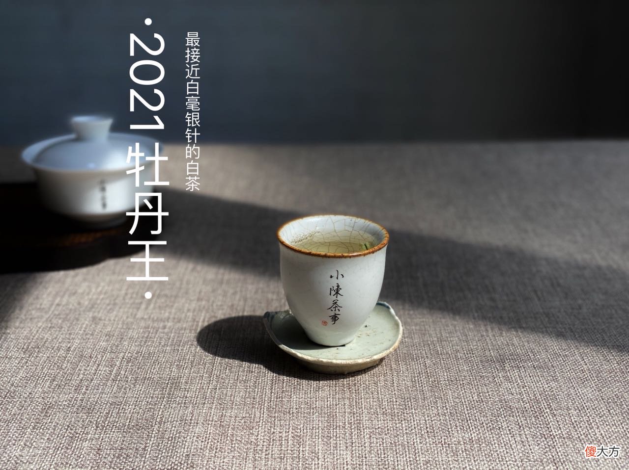 哪种适合冲泡白茶 白茶和什么泡水喝比较好