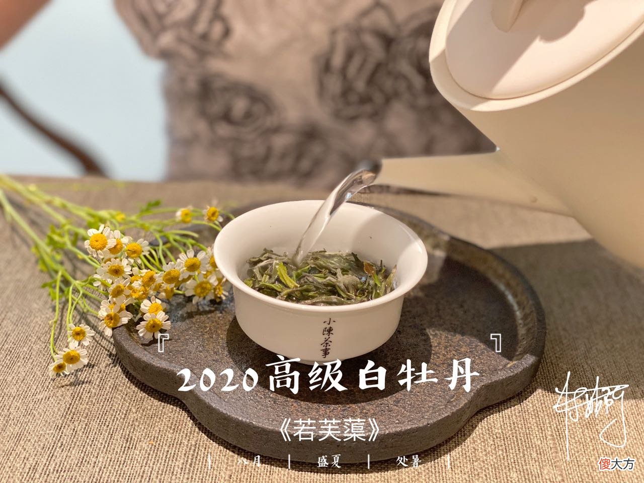 哪种适合冲泡白茶 白茶和什么泡水喝比较好