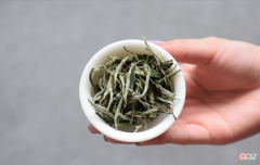 白茶到底是什么茶 白茶都是什么