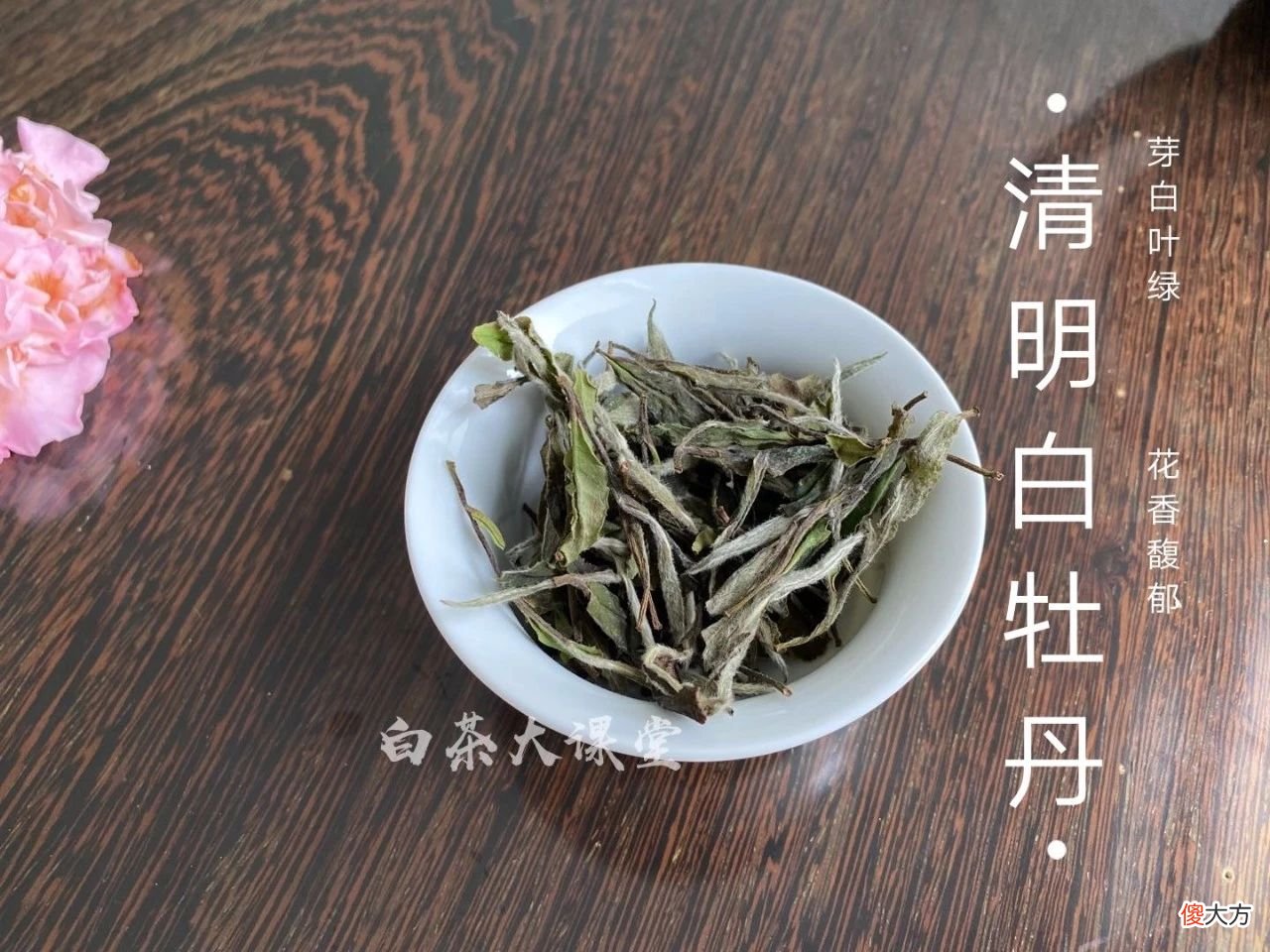 它属于什么茶 什么属于什么茶