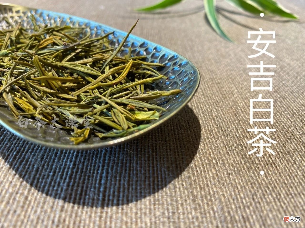 它属于什么茶 什么属于什么茶