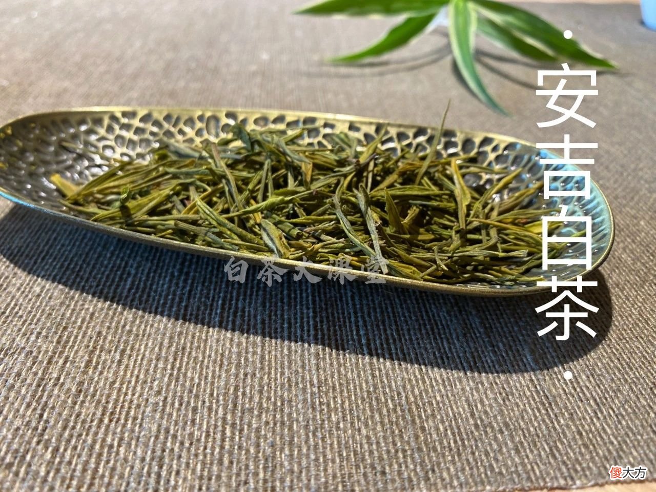 它属于什么茶 什么属于什么茶