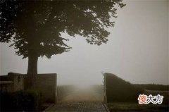 起泡酒和香槟入门级选哪些 怎么判断香槟和起泡酒的品质