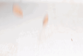 这4种最健康的坚果 哪种坚果最健康