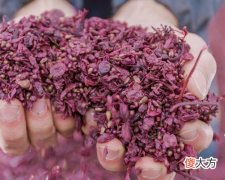 葡萄酒勃艮第产区 西班牙葡萄酒产区