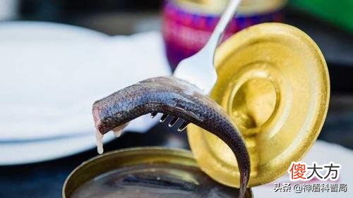每年吃掉几百吨！“生化武器”鲱鱼罐头，为何让瑞典人欲罢不能