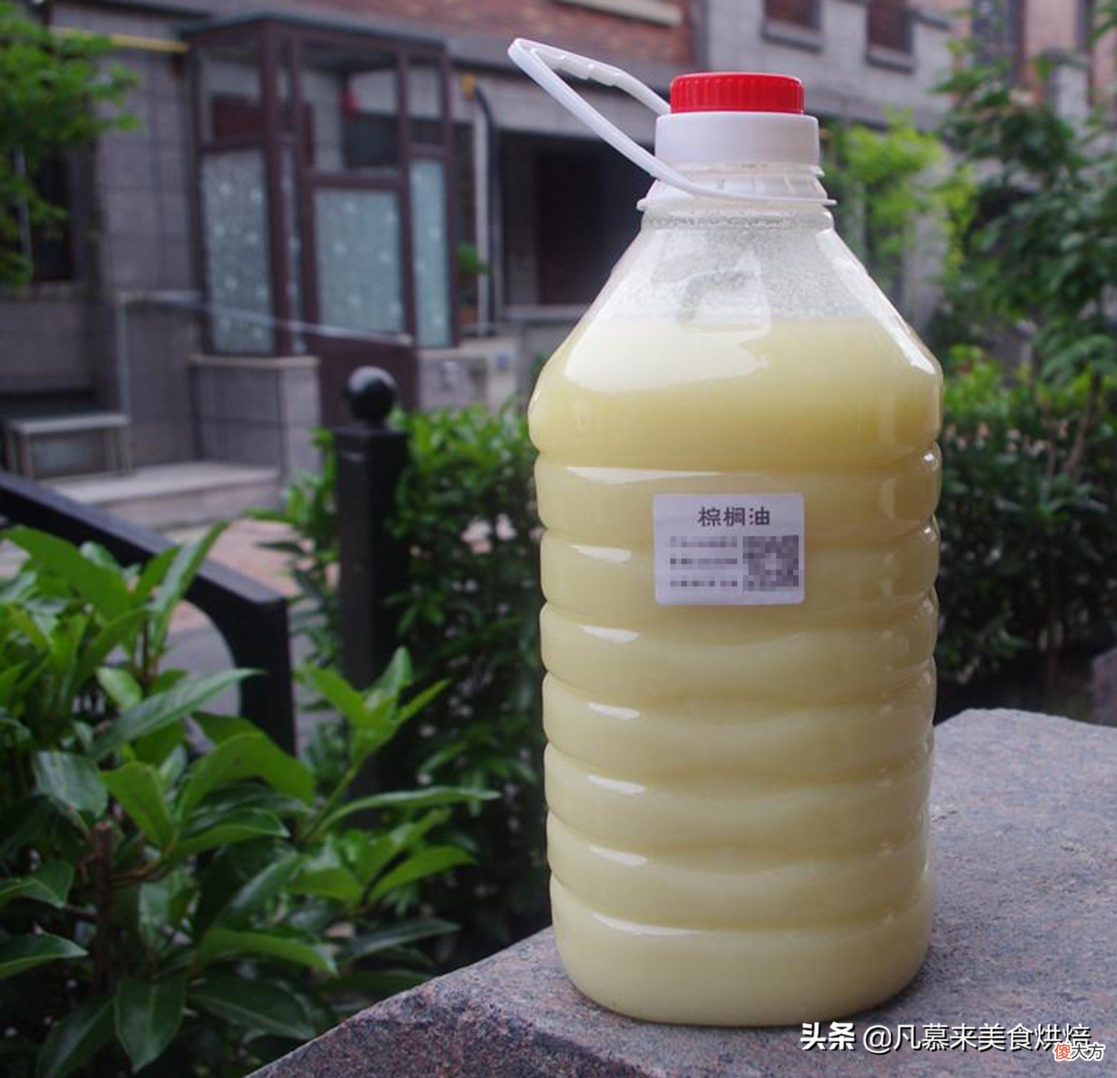 调和油有什么区别 花生油与调和油有什么区别