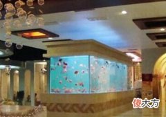 养鱼风水注意事项