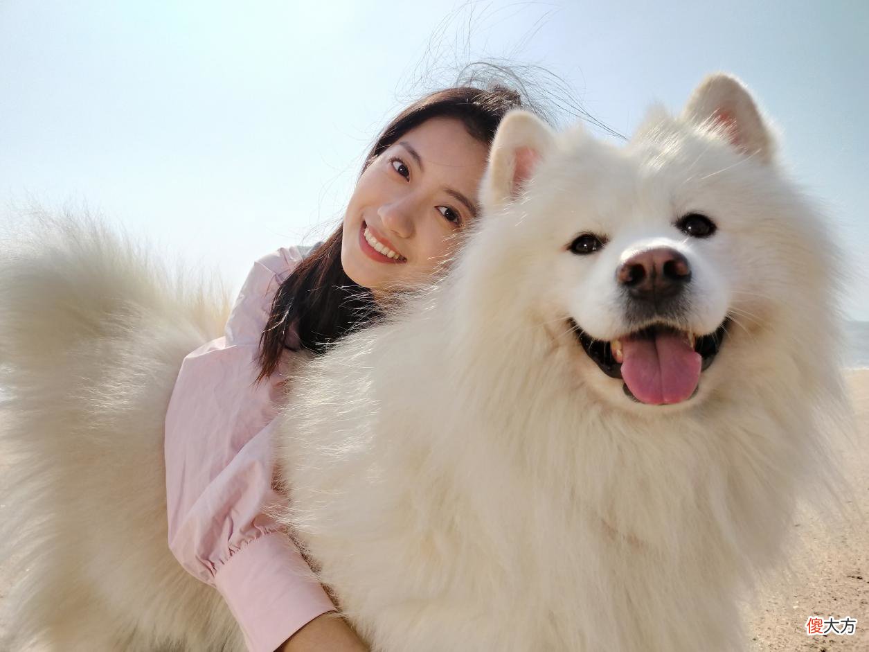 千元机颜值天花板 千元机的天花板