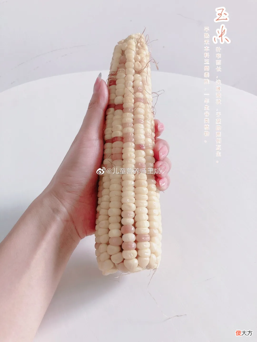 玉米真的吃不胖 玉米真的吃不胖吗