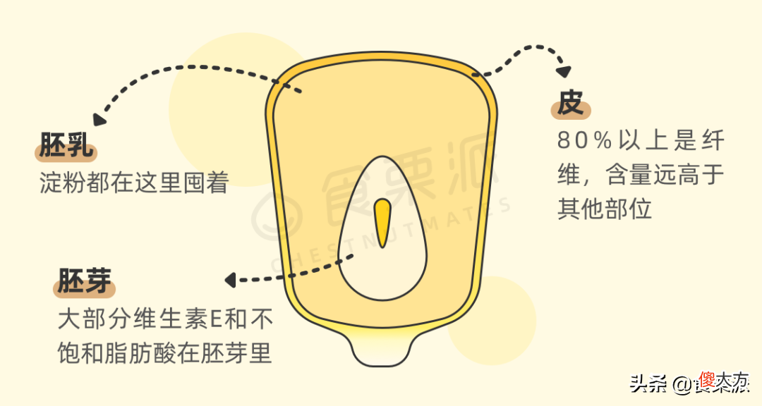 减肥不吃米饭改玉米 不吃米饭改吃玉米