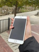 大屏苹果备用机 苹果备用机屏幕