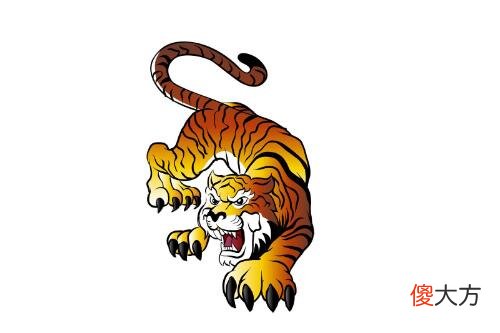 2010年属虎的是什么命，10年出生的虎五行属什么