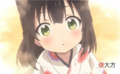 属虎适合养什么花