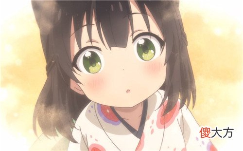 属虎适合养什么花