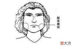 从腮骨面相看命运吉凶