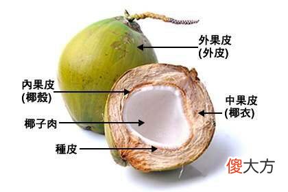 椰子救了瑞幸 生椰拿铁救了瑞幸