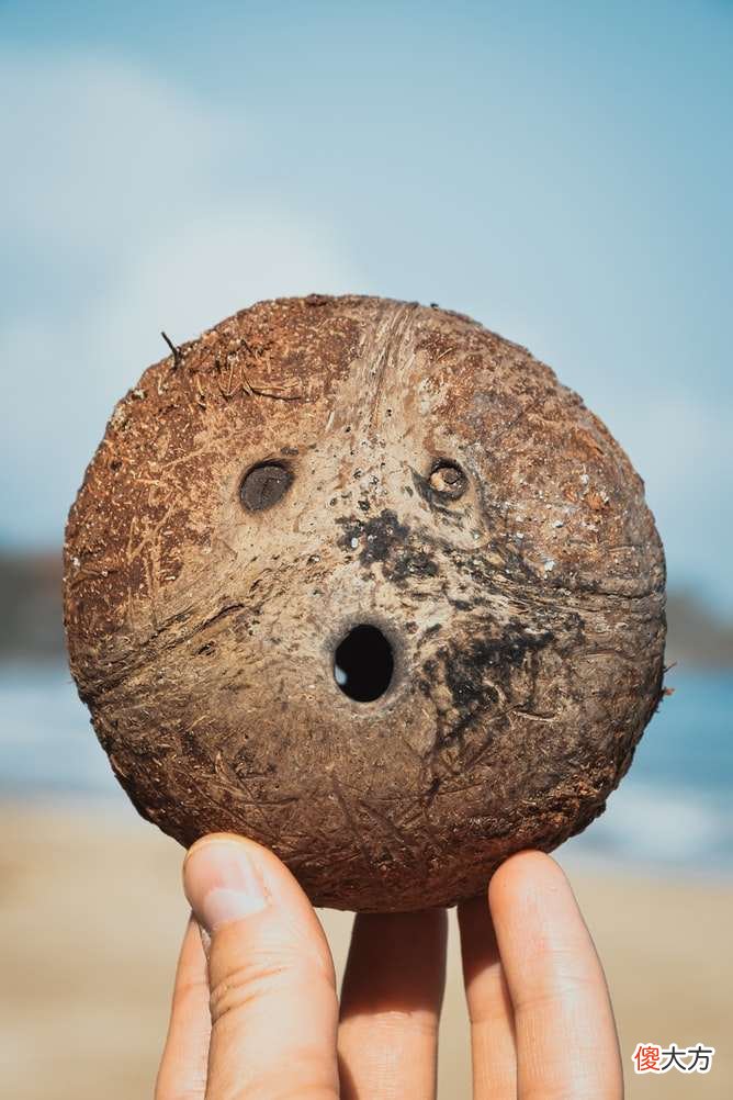 椰子救了瑞幸 生椰拿铁救了瑞幸