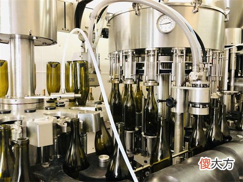 葡萄酒醒酒方法有哪些 葡萄酒醒酒瓶怎么用