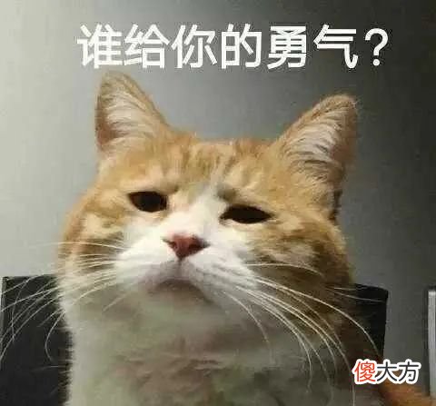 共享充电宝涨价上热搜 共享充电宝价格上涨