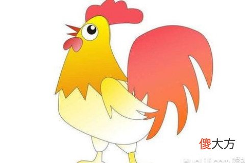 详解生肖鸡的风水大全