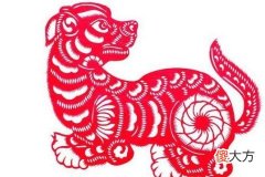详解生肖狗的风水大全