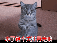 综测分对大学生有什么影响 大一综测分对大学生有什么影响