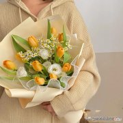 冬季的郁金香也是浪漫至极 冬天的郁金香是什么样子的