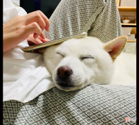 干脆把它当成了手机支架 做一个手机支架