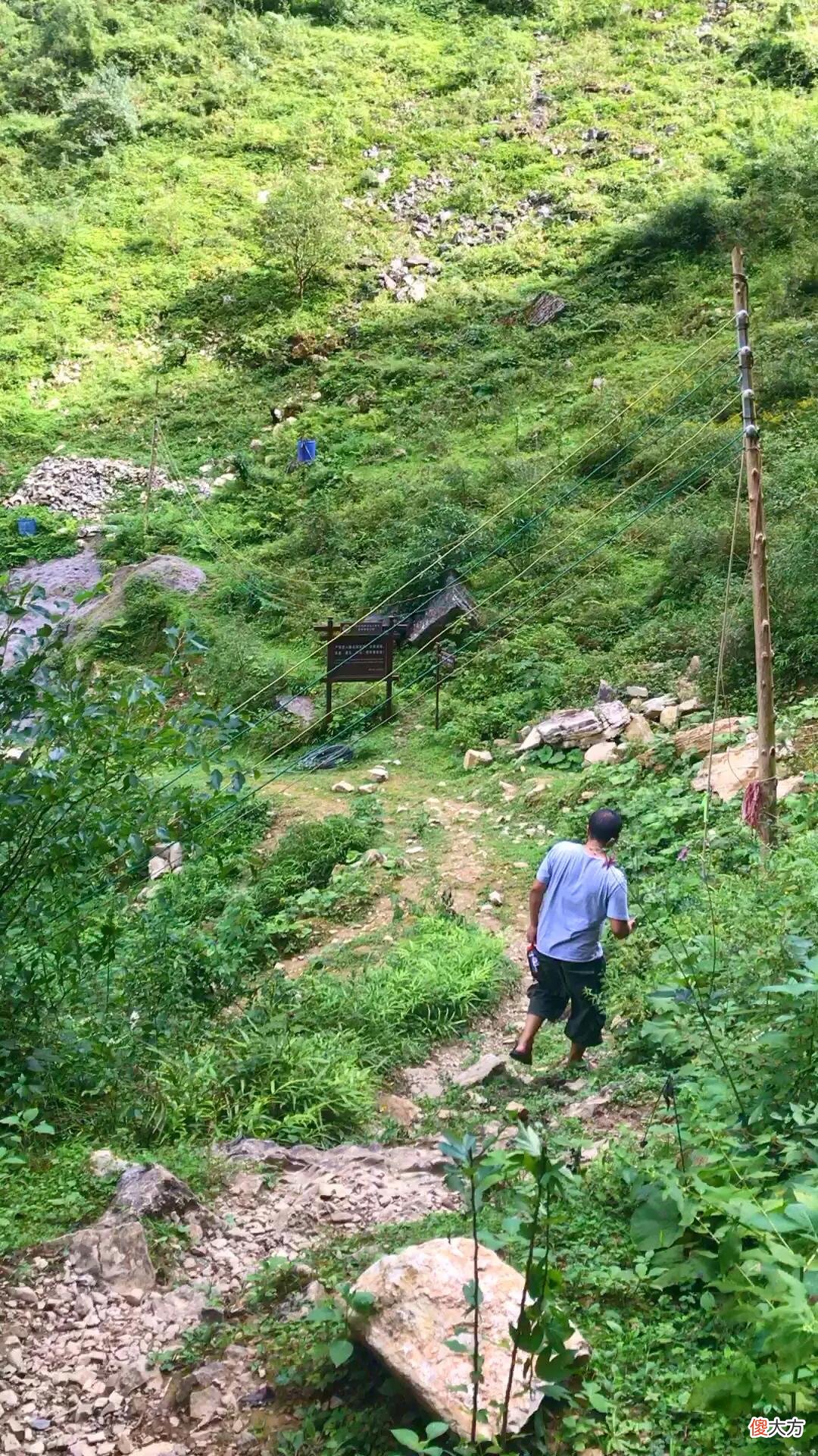 山凹中的一大片绿油油的草地 山坡上有一大片绿油油的草地