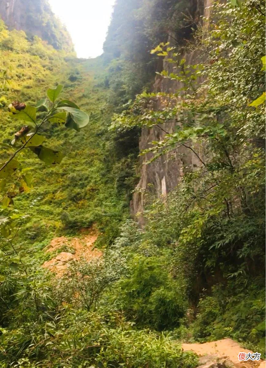 山凹中的一大片绿油油的草地 山坡上有一大片绿油油的草地