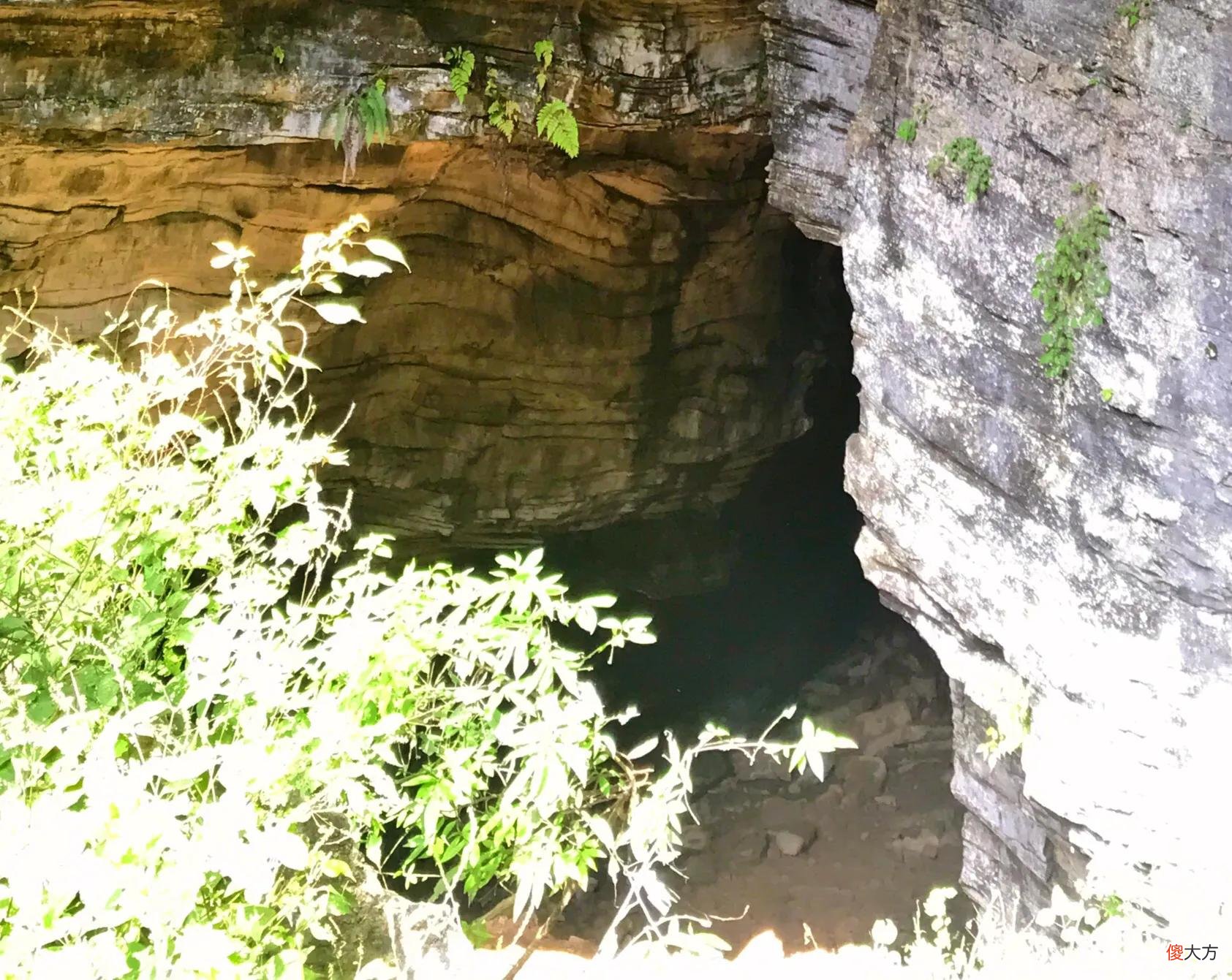 山凹中的一大片绿油油的草地 山坡上有一大片绿油油的草地