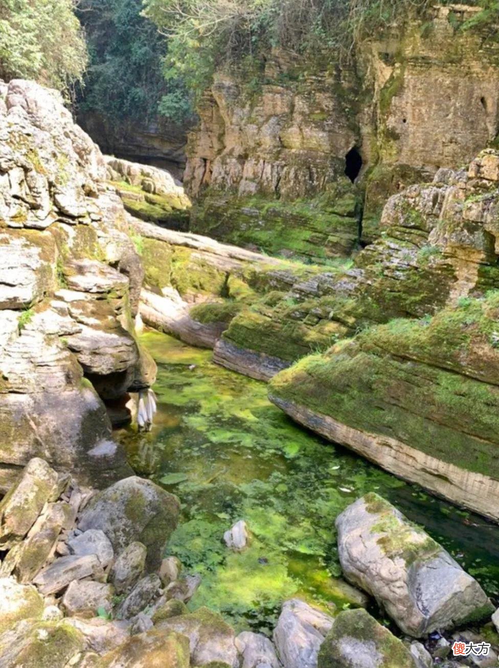 山凹中的一大片绿油油的草地 山坡上有一大片绿油油的草地