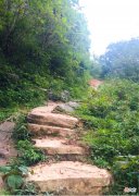 山凹中的一大片绿油油的草地 山坡上有一大片绿油油的草地