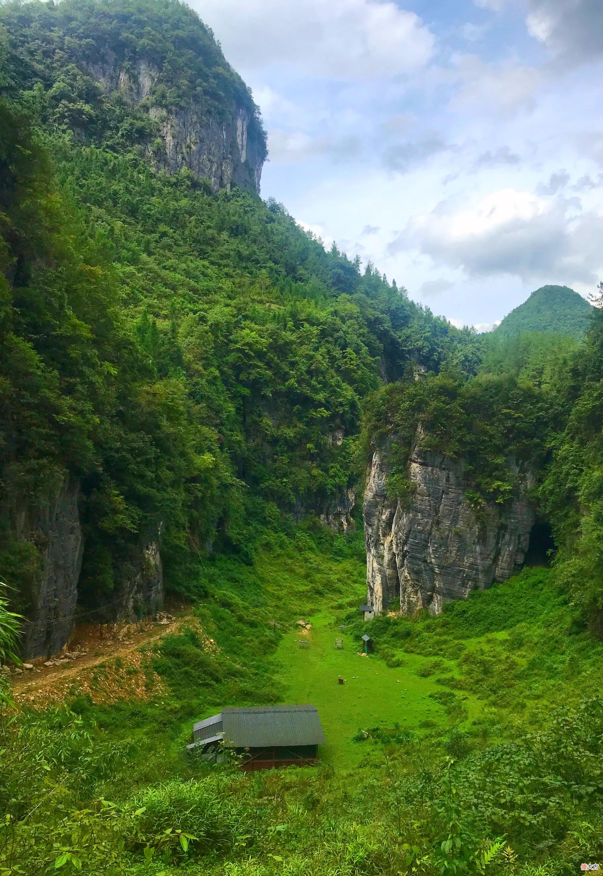 山凹中的一大片绿油油的草地 山坡上有一大片绿油油的草地