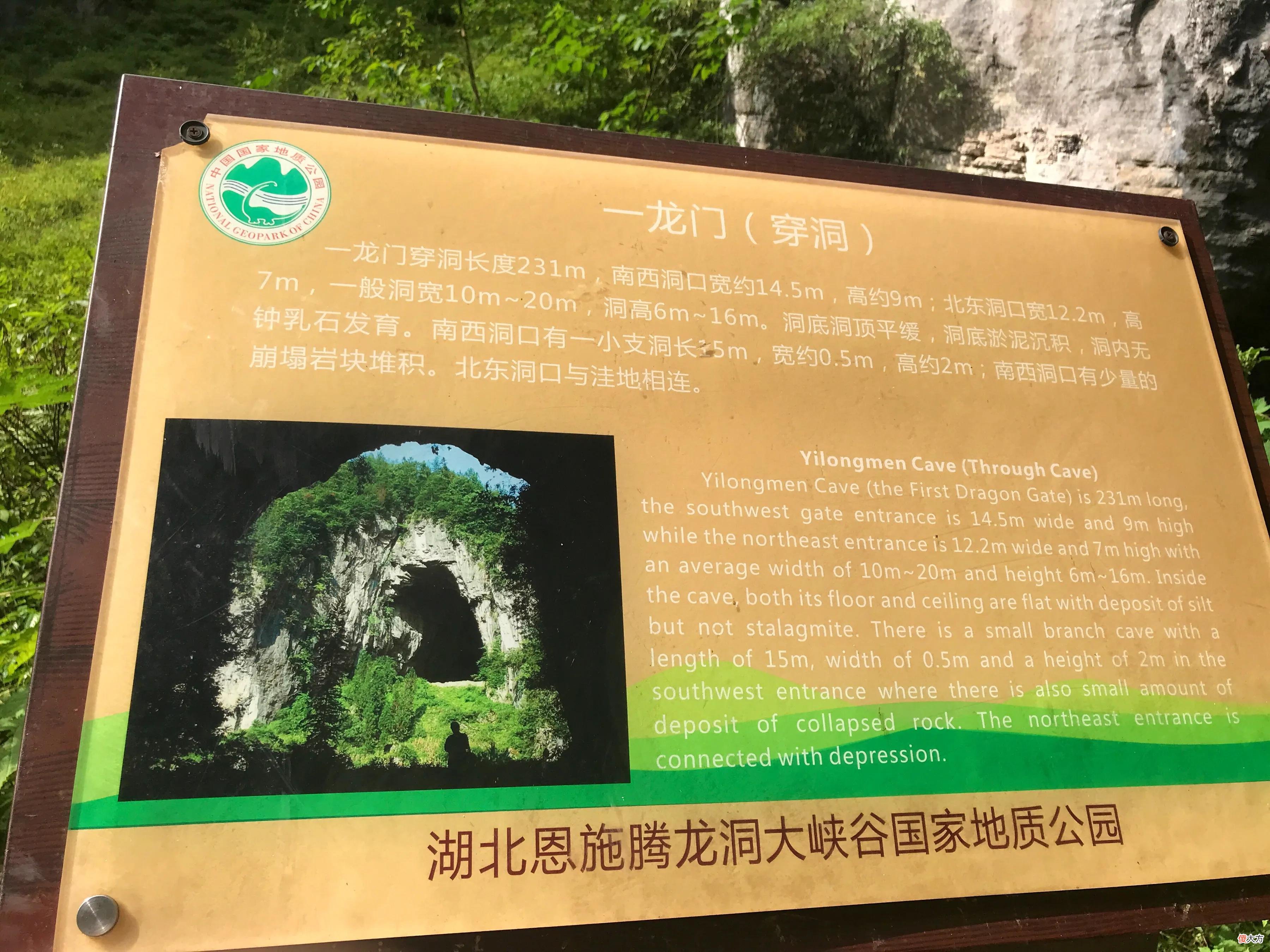 山凹中的一大片绿油油的草地 山坡上有一大片绿油油的草地