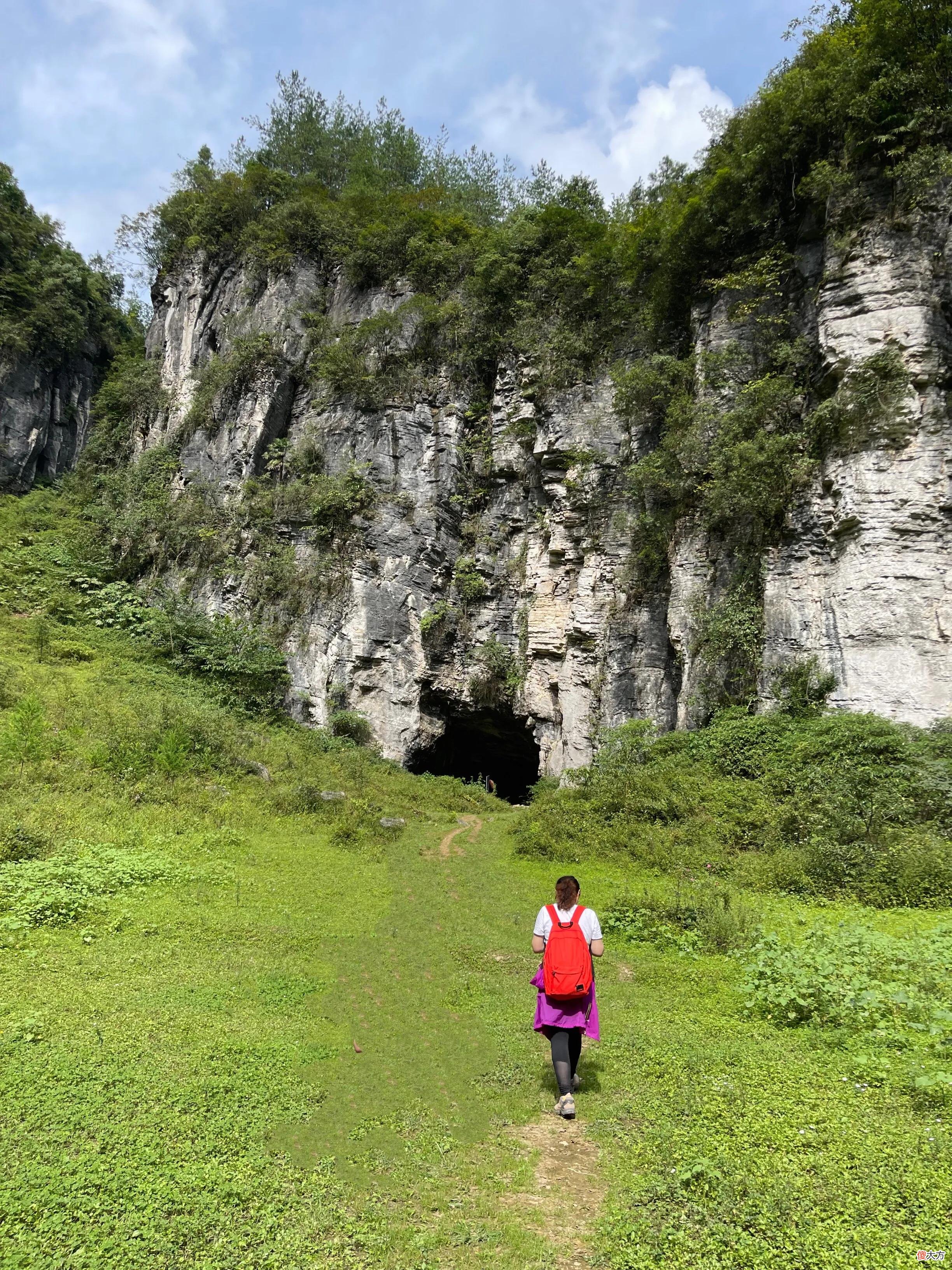 山凹中的一大片绿油油的草地 山坡上有一大片绿油油的草地