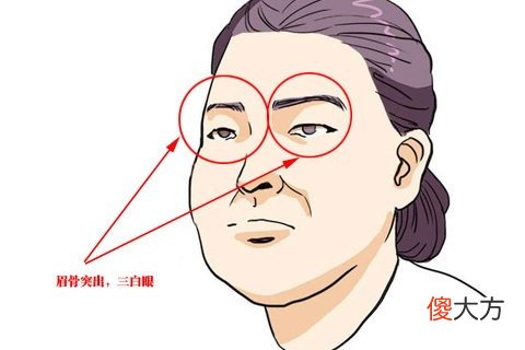 女人眉骨高面相说明了什么