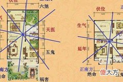 属兔人需注意的5个风水禁忌