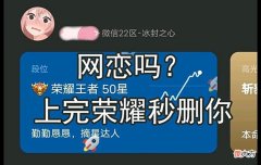 【游戏世界】小伙帮网恋女友打上荣耀王者，结果被对方秒删！网友：就是骗分的