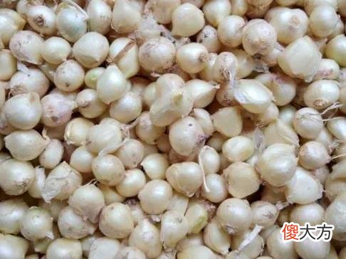 为什么有的人说吃了对眼睛不好 吃什么会对眼睛不好