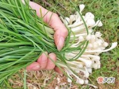为什么有的人说吃了对眼睛不好 吃什么会对眼睛不好
