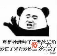 为什么冬天看不到蝴蝶 冬天怎么会有蝴蝶