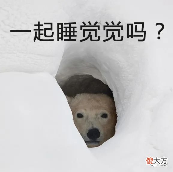 为什么冬天看不到蝴蝶 冬天怎么会有蝴蝶
