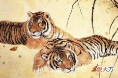 属虎人2019年下半年运势