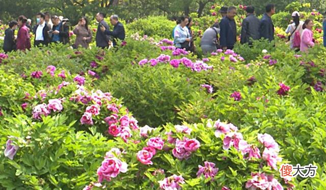 【爱历史】太原网红旅游公园,耗资6亿免费门票,被誉“太原颐和园”