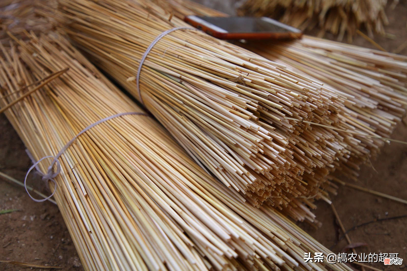 现在才知道有什么用 请问现在有什么用