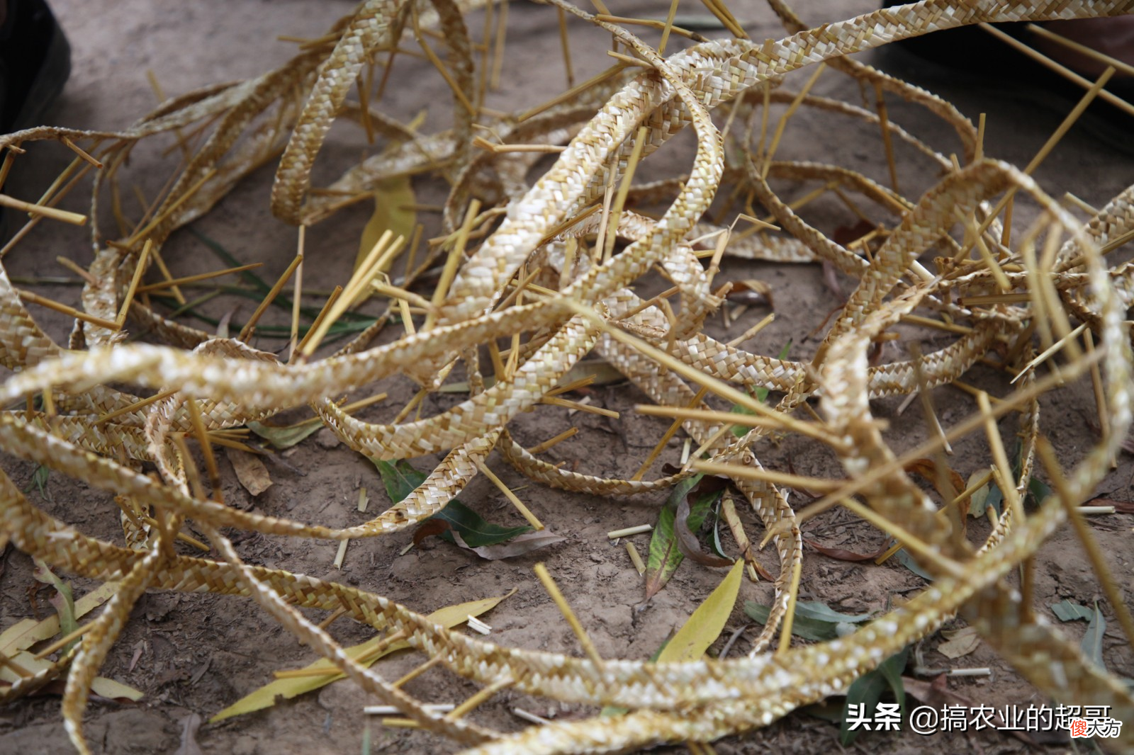 现在才知道有什么用 请问现在有什么用